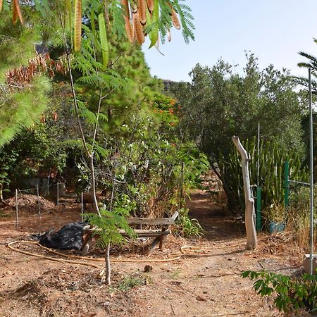La Casa De Los Pinos Temisas Luaran gambar