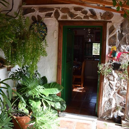 La Casa De Los Pinos Temisas Luaran gambar