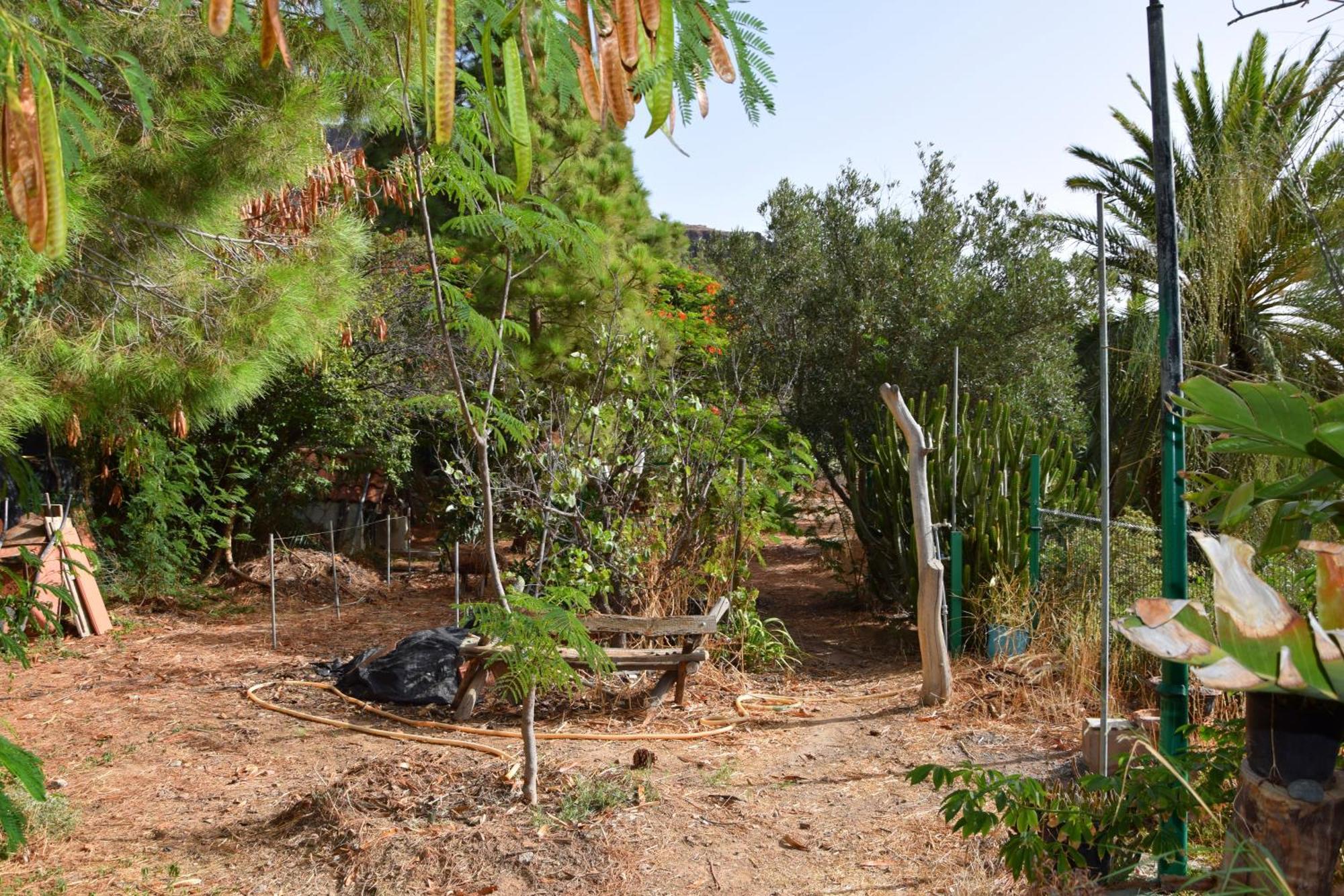 La Casa De Los Pinos Temisas Luaran gambar