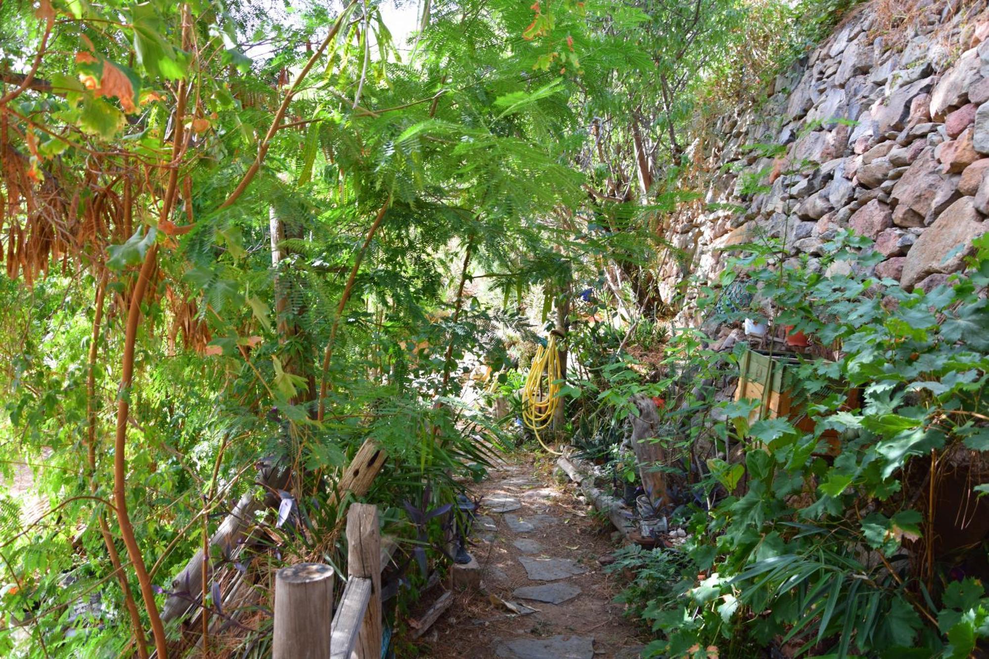 La Casa De Los Pinos Temisas Luaran gambar